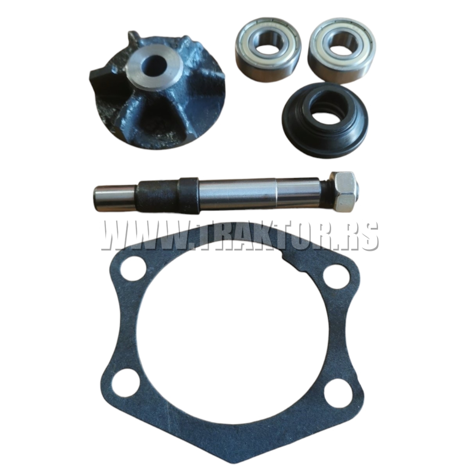 Set pumpe vode IMT 533